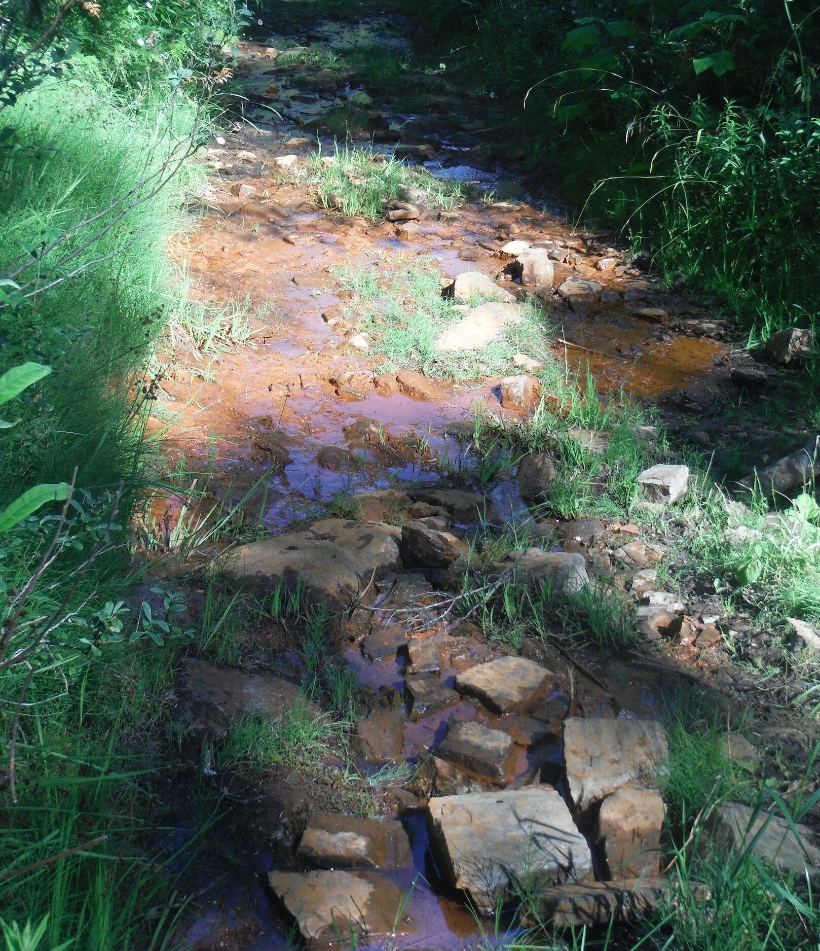 Waldie FSR old mining site runnoff